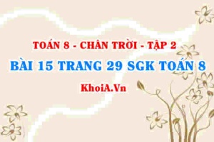 Bài 15 trang 29 Toán 8 Chân trời sáng tạo Tập 2